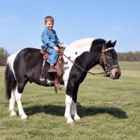 http://leighlarson.com/JPG%20Final%20Leigh%20Pony%20Ranch.jpg.jpg